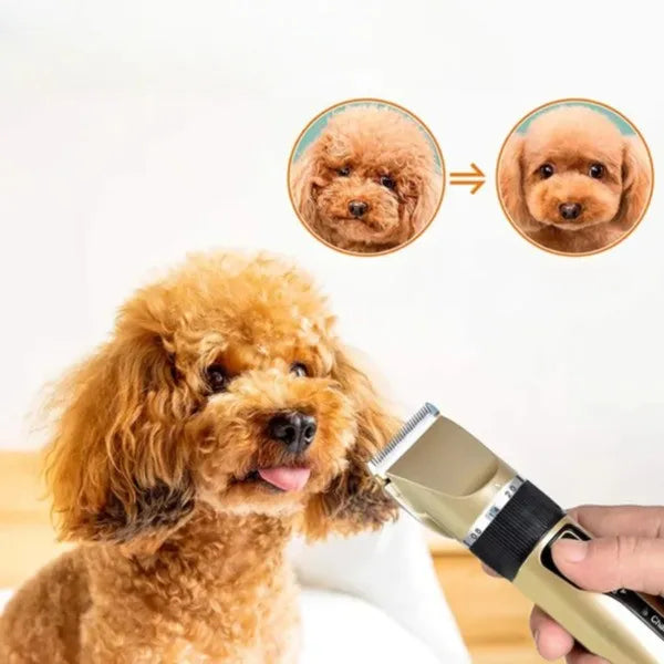 "Lautloser Felltrimmer für Hunde, flüsterleise, effizient, sanfte Schneideklingen, lange Akkulaufzeit, einfache Reinigung."