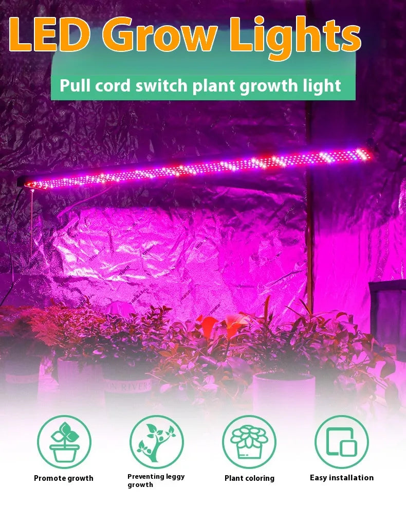"LED Pflanzenlampe Vollspektrum, energieeffizient, mit Zugschalter, ideal für gesundes Pflanzenwachstum in Innenräumen."