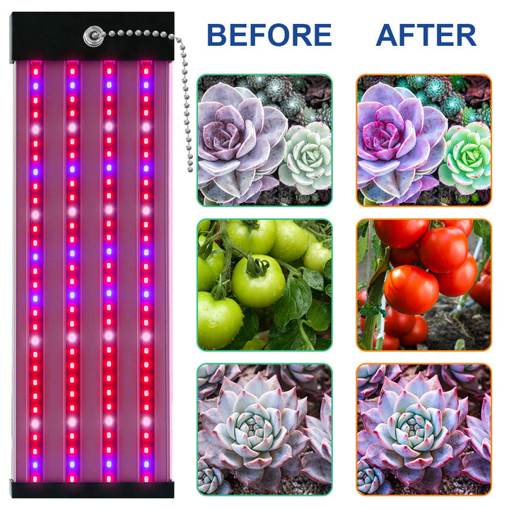 "LED Pflanzenlampe Vollspektrum, energieeffizient, mit Zugschalter, ideal für gesundes Pflanzenwachstum in Innenräumen."