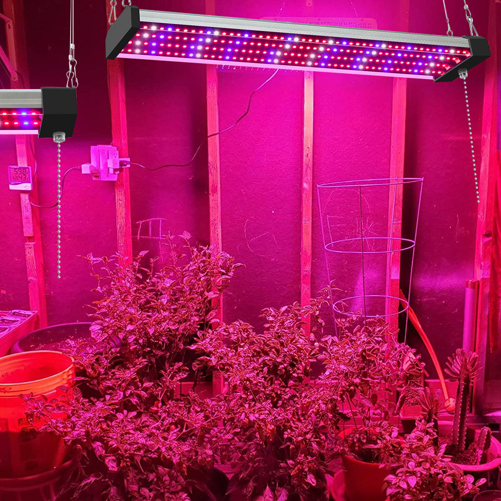 "LED Pflanzenlampe Vollspektrum, energieeffizient, mit Zugschalter, ideal für gesundes Pflanzenwachstum in Innenräumen."
