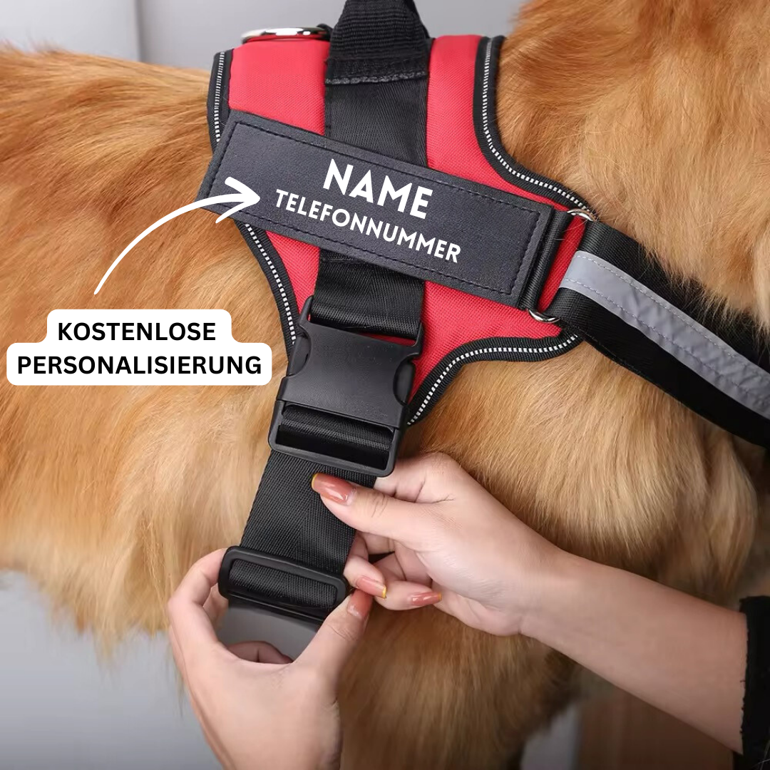 "Leuchtendes Anti-Zug Hundegeschirr mit personalisierbaren Details und reflektierenden Streifen für mehr Sicherheit."