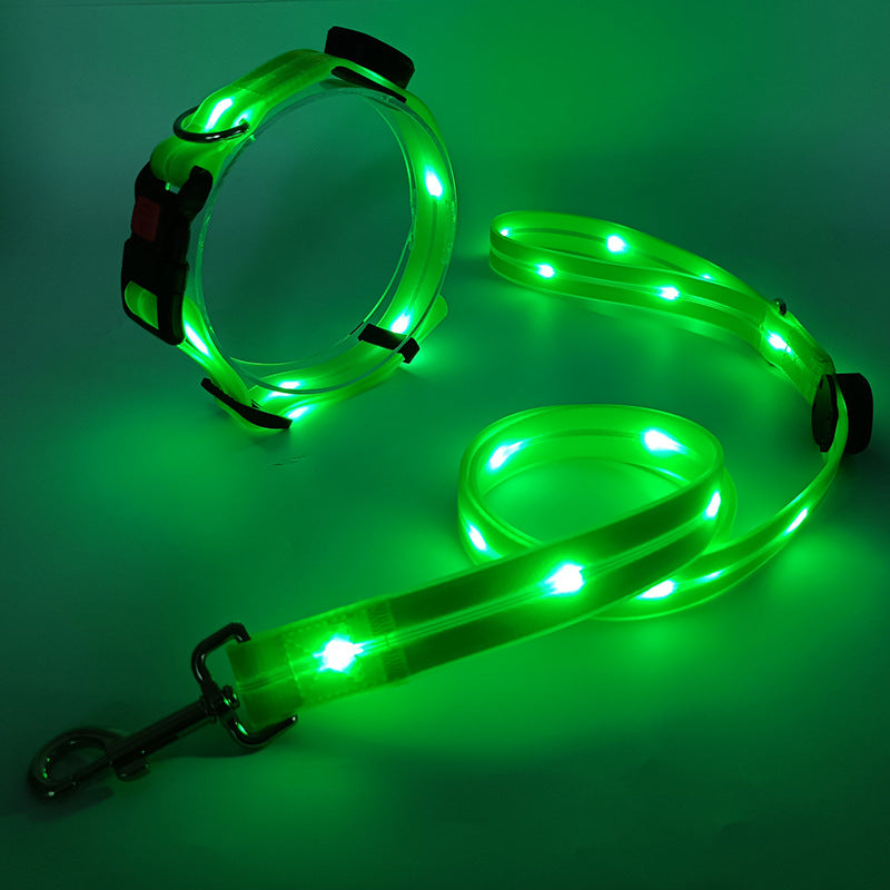 "Leuchtendes LED Hundehalsband und Leine, bunte LEDs, 360-Grad-Sichtbarkeit, sichere Nachtspaziergänge, robuster Nylonstoff."