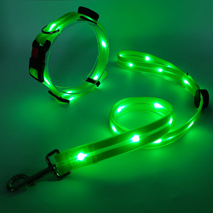 "Leuchtendes LED Hundehalsband und Leine, bunte LEDs, 360-Grad-Sichtbarkeit, sichere Nachtspaziergänge, robuster Nylonstoff."