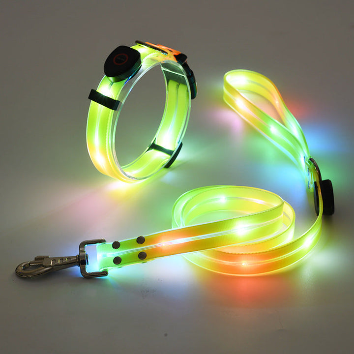 "Leuchtendes LED Hundehalsband und Leine, bunte LEDs, 360-Grad-Sichtbarkeit, sichere Nachtspaziergänge, robuster Nylonstoff."