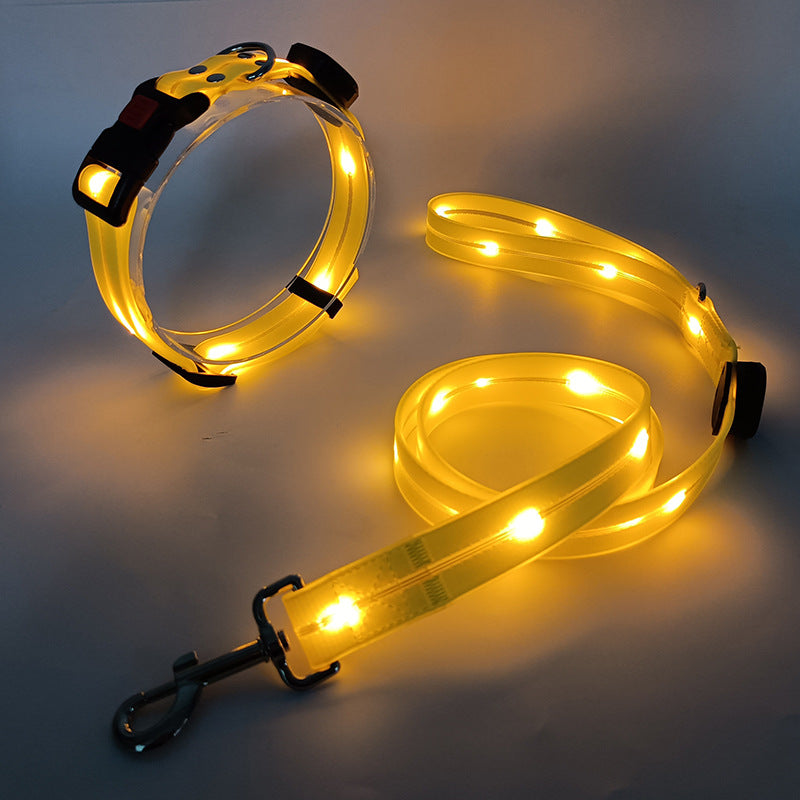 "Leuchtendes LED Hundehalsband und Leine, bunte LEDs, 360-Grad-Sichtbarkeit, sichere Nachtspaziergänge, robuster Nylonstoff."