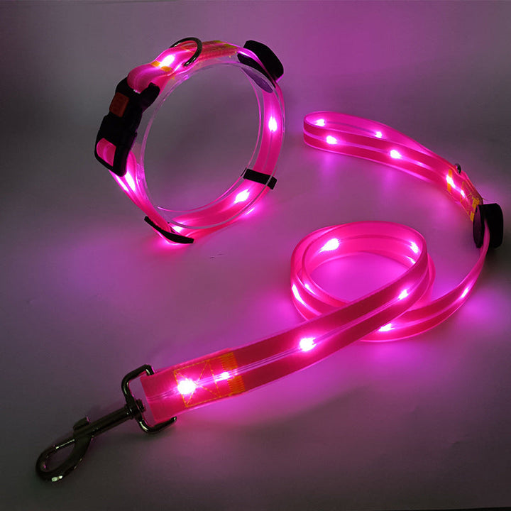 "Leuchtendes LED Hundehalsband und Leine, bunte LEDs, 360-Grad-Sichtbarkeit, sichere Nachtspaziergänge, robuster Nylonstoff."