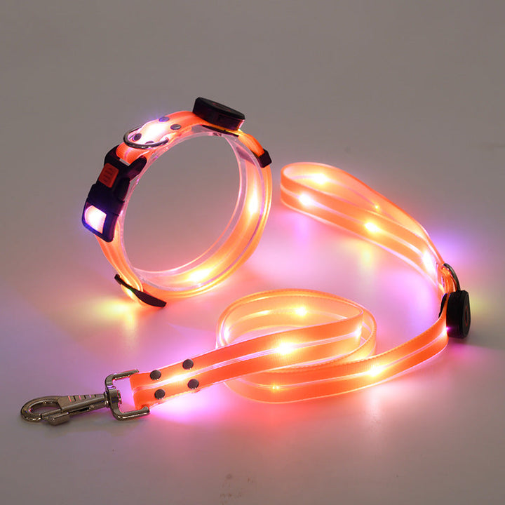 "Leuchtendes LED Hundehalsband und Leine, bunte LEDs, 360-Grad-Sichtbarkeit, sichere Nachtspaziergänge, robuster Nylonstoff."