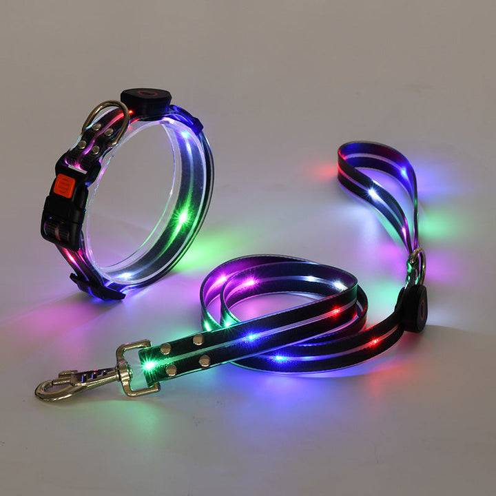 "Leuchtendes LED Hundehalsband und Leine, bunte LEDs, 360-Grad-Sichtbarkeit, sichere Nachtspaziergänge, robuster Nylonstoff."