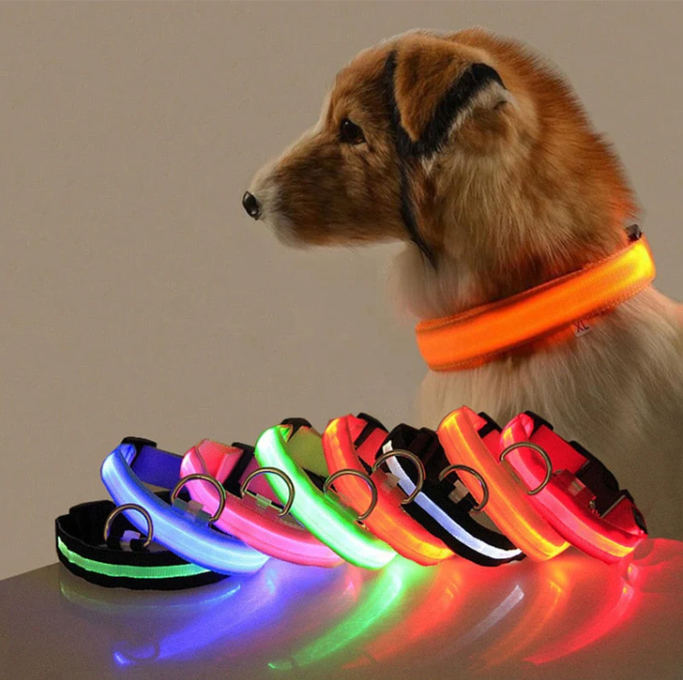 Leuchtendes, multifarbiges LED Hundehalsband für optimale Sichtbarkeit und Sicherheit bei Dunkelheit, verstellbar und wetterf