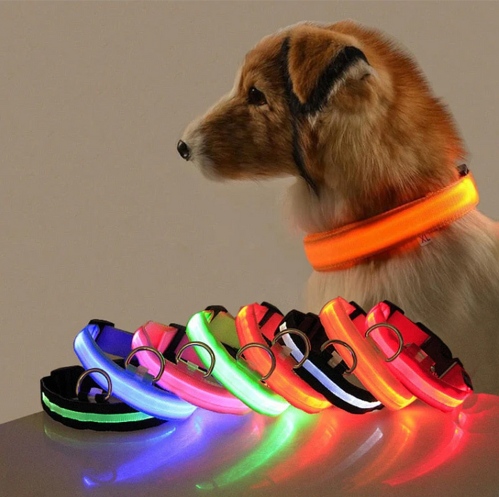 Leuchtendes, multifarbiges LED Hundehalsband für optimale Sichtbarkeit und Sicherheit bei Dunkelheit, verstellbar und wetterf