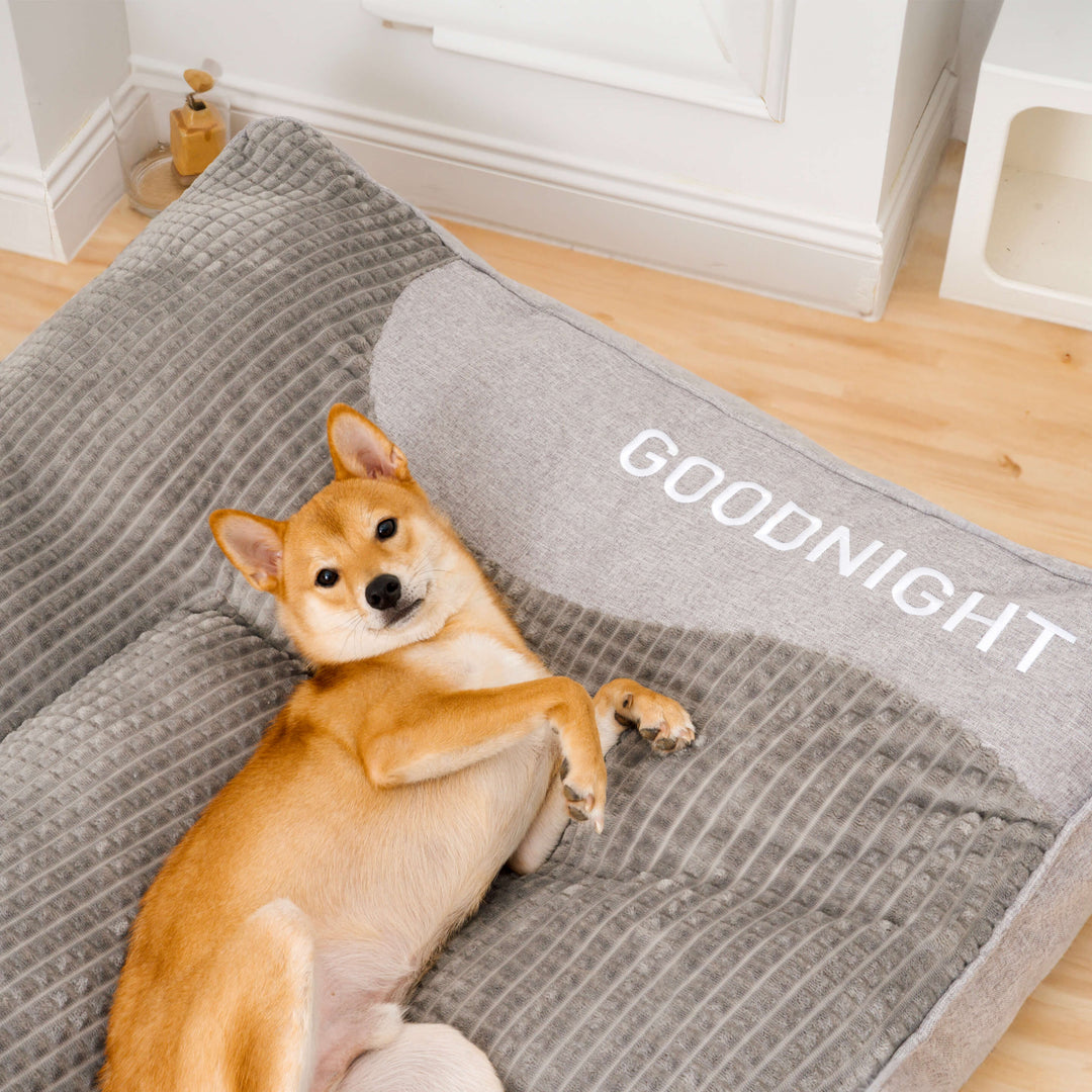 Luxuriöses, kratzfestes Hundebett mit orthopädischer Kopfstütze. Großes, bequemes Kissen für optimalen Hundekomfort.