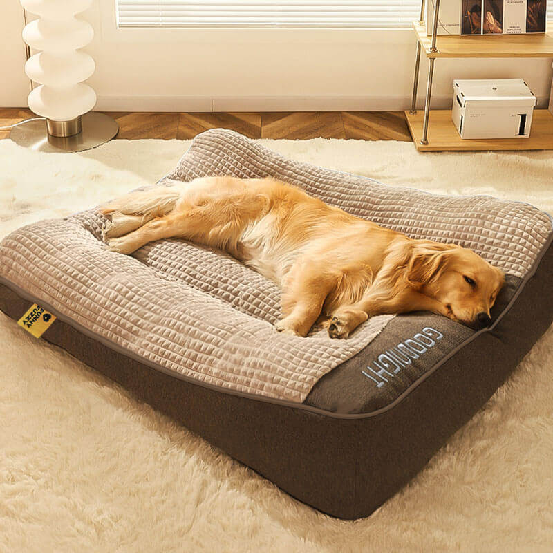 Luxuriöses, kratzfestes Hundebett mit orthopädischer Kopfstütze. Großes, bequemes Kissen für optimalen Hundekomfort.