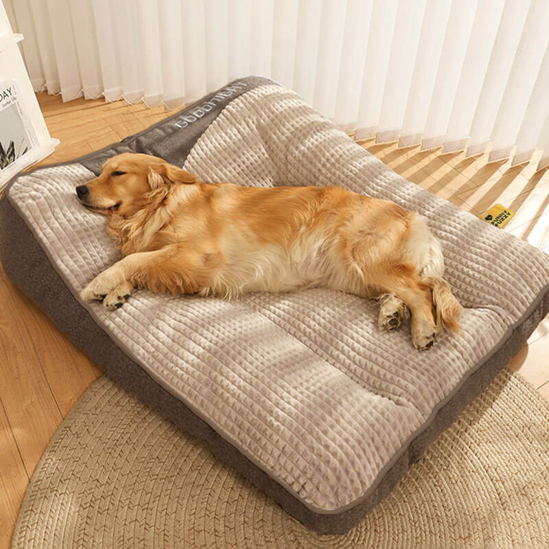 Luxuriöses, kratzfestes Hundebett mit orthopädischer Kopfstütze. Großes, bequemes Kissen für optimalen Hundekomfort.