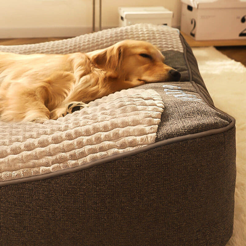 Luxuriöses, kratzfestes Hundebett mit orthopädischer Kopfstütze. Großes, bequemes Kissen für optimalen Hundekomfort.