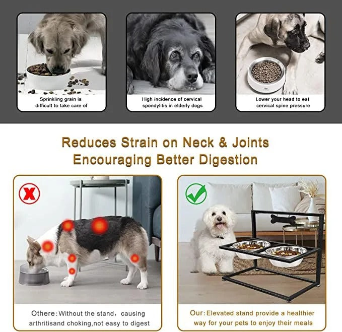 Gamelle surélevée pour chien avec 2 gamelles