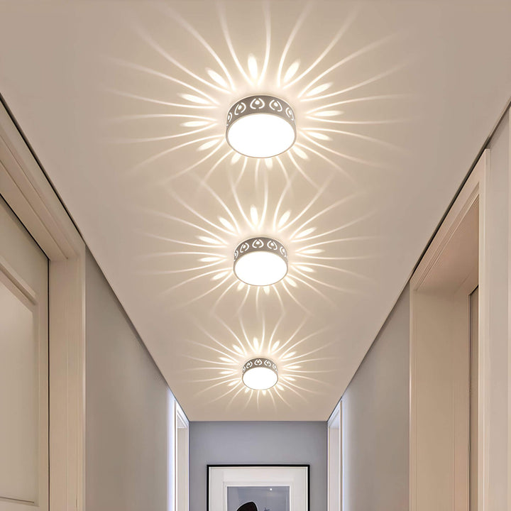 "Moderne LED-Deckenleuchte, energieeffizient mit 30 cm Durchmesser, ideal für Flur oder Balkon, in Felwit und Warmweiß."