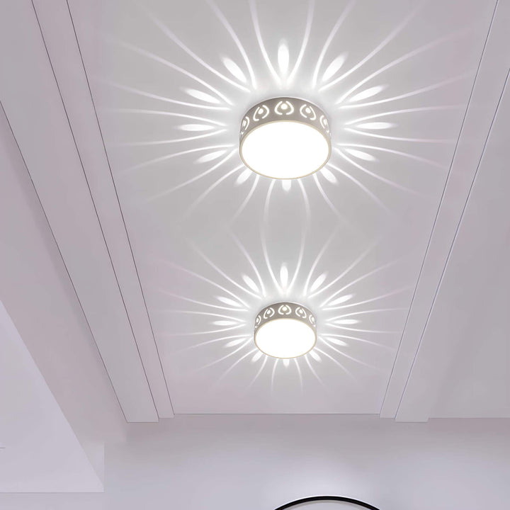 "Moderne LED-Deckenleuchte, energieeffizient mit 30 cm Durchmesser, ideal für Flur oder Balkon, in Felwit und Warmweiß."