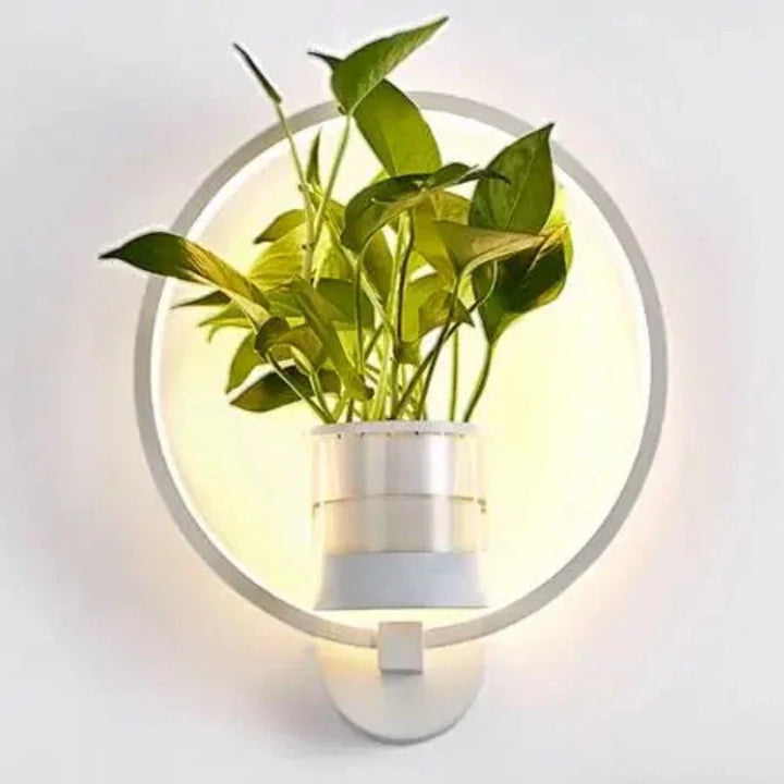 "Moderne Wandleuchte mit Glas und Eisen, integriertem Pflanzgefäß, ideal für Wohnzimmer und Büros, stilvolles Design."