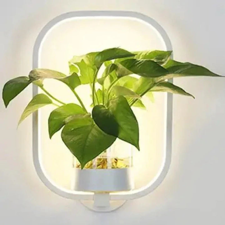"Moderne Wandleuchte mit Glas und Eisen, integriertem Pflanzgefäß, ideal für Wohnzimmer und Büros, stilvolles Design."