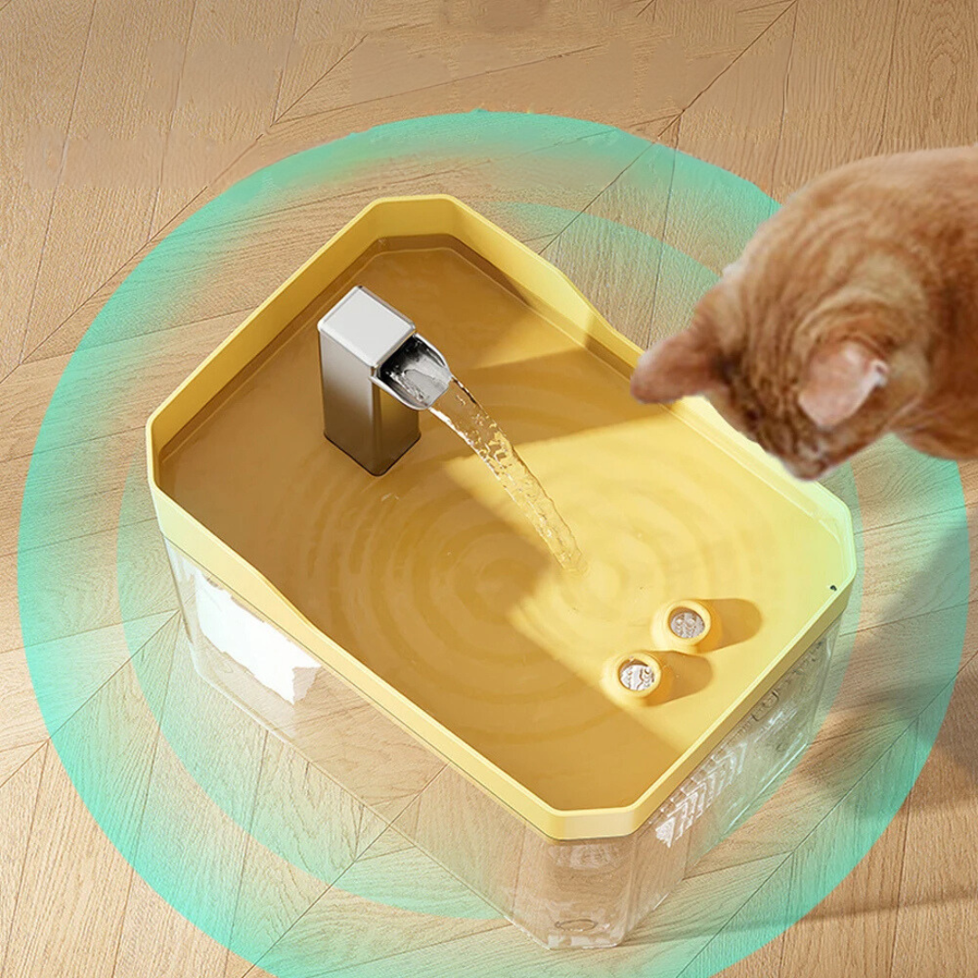 "Moderner Haustier Trinkbrunnen mit stetigem Wasserfluss, leiser Pumpe und effizientem Filtersystem für sauberes Wasser."