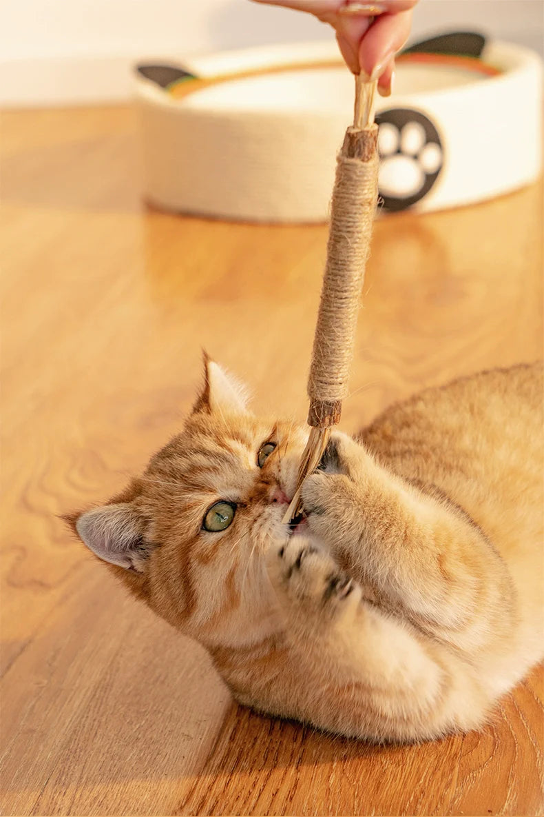 "Natürliche Kitty Zahnreinigungs Sticks für Katzen, grün, schlank, zur Zahnpflege und frischem Atem, sicher und natürlich."