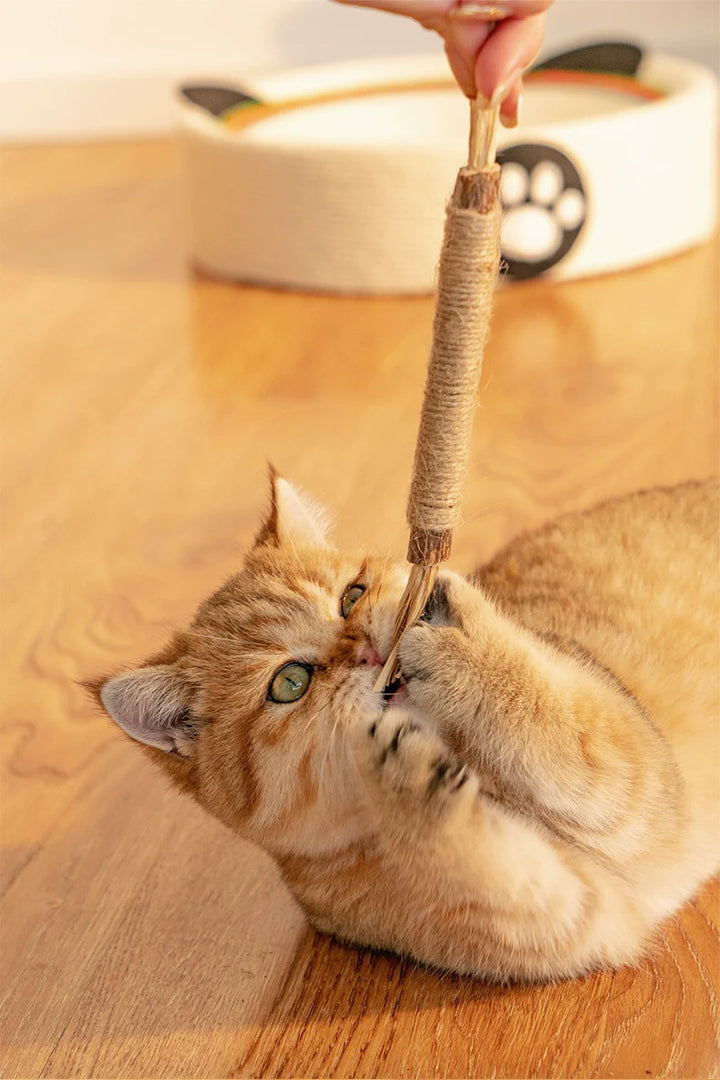 "Natürliche Kitty Zahnreinigungs Sticks für Katzen, grün, schlank, zur Zahnpflege und frischem Atem, sicher und natürlich."