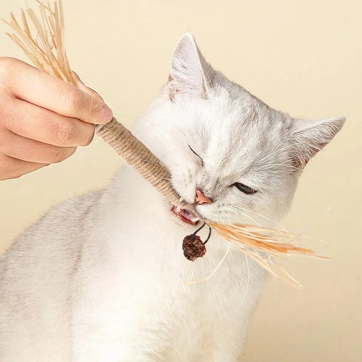 "Natürliche Kitty Zahnreinigungs Sticks für Katzen, grün, schlank, zur Zahnpflege und frischem Atem, sicher und natürlich."
