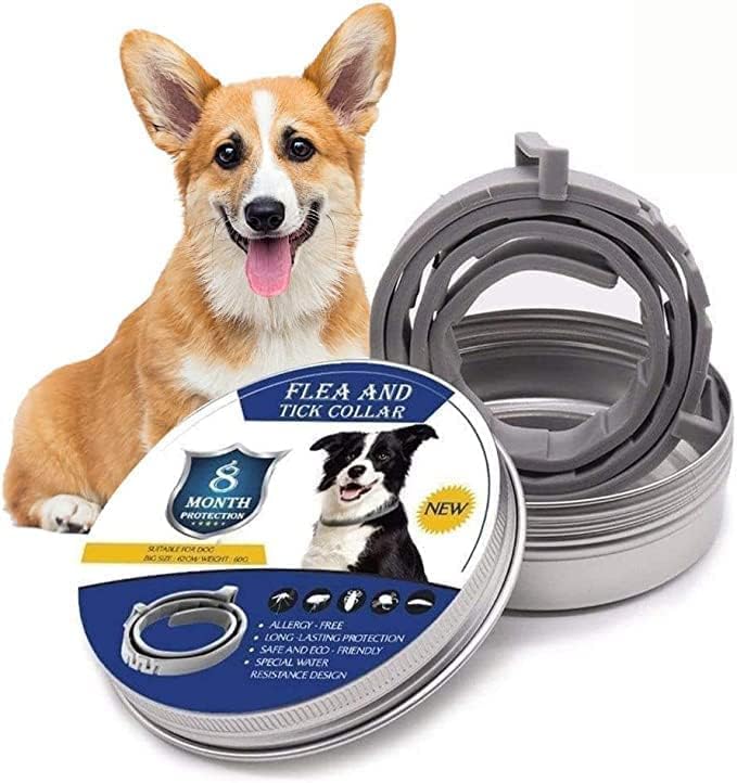 Natürlicher Zecken- und Flohschutz, NaturaGuard Halsband für Hunde, grün, anpassbar, chemiefrei, bequem und wasserdicht.