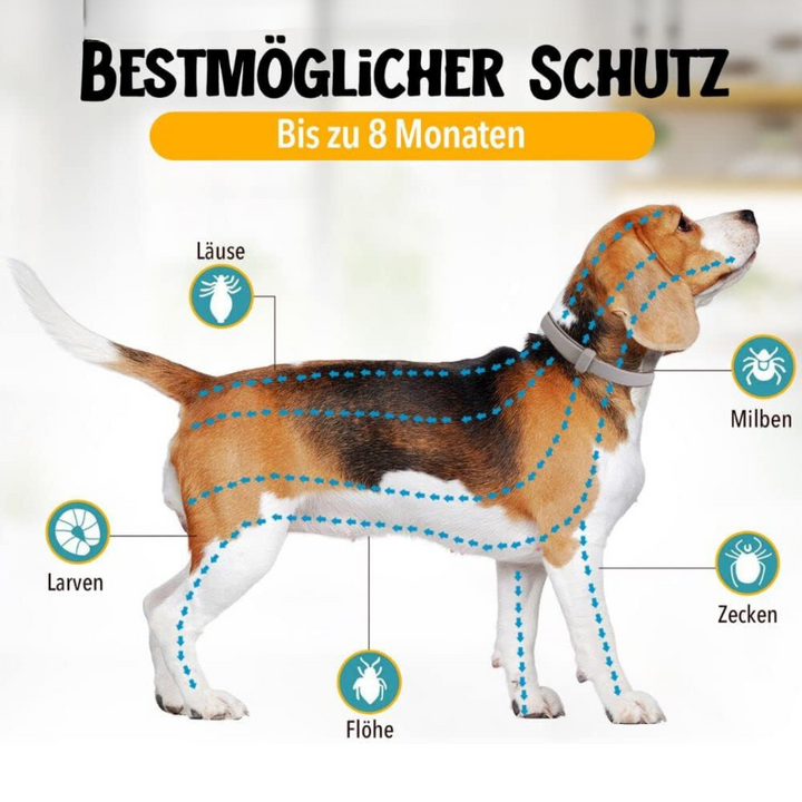Natürlicher Zecken- und Flohschutz, NaturaGuard Halsband für Hunde, grün, anpassbar, chemiefrei, bequem und wasserdicht.