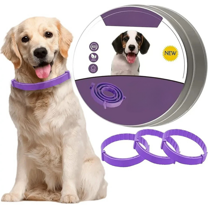 "Natürliches, wasserfestes Pheromon-Halsband für Hunde & Katzen, graues Design, reduziert Stress und Angst."