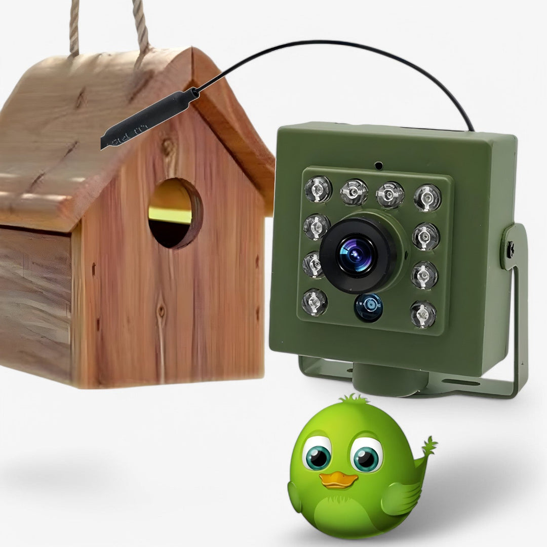 "NestCam WLAN Kamera 1080p HD, wetterfest mit Nachtsicht, für Vogelbeobachtung – klare Bilder Tag & Nacht, einfache Einrichtu