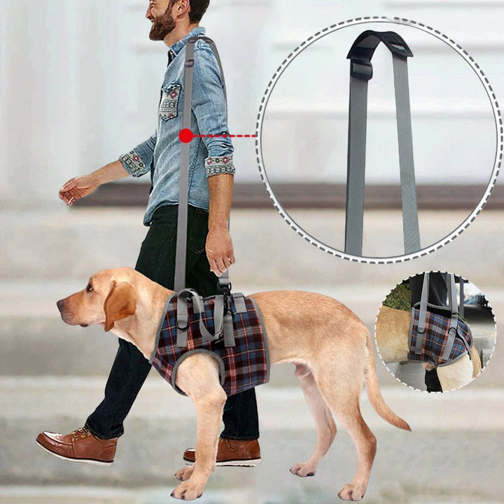 Orthopädischer Hundegurt, ergonomisch, bietet Unterstützung und Stabilität für Hunde-Hinterbeine, Detailaufnahme.