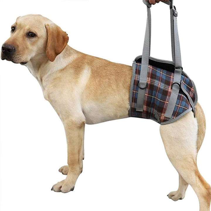 Orthopädischer Hundegurt, ergonomisch, bietet Unterstützung und Stabilität für Hunde-Hinterbeine, Detailaufnahme.