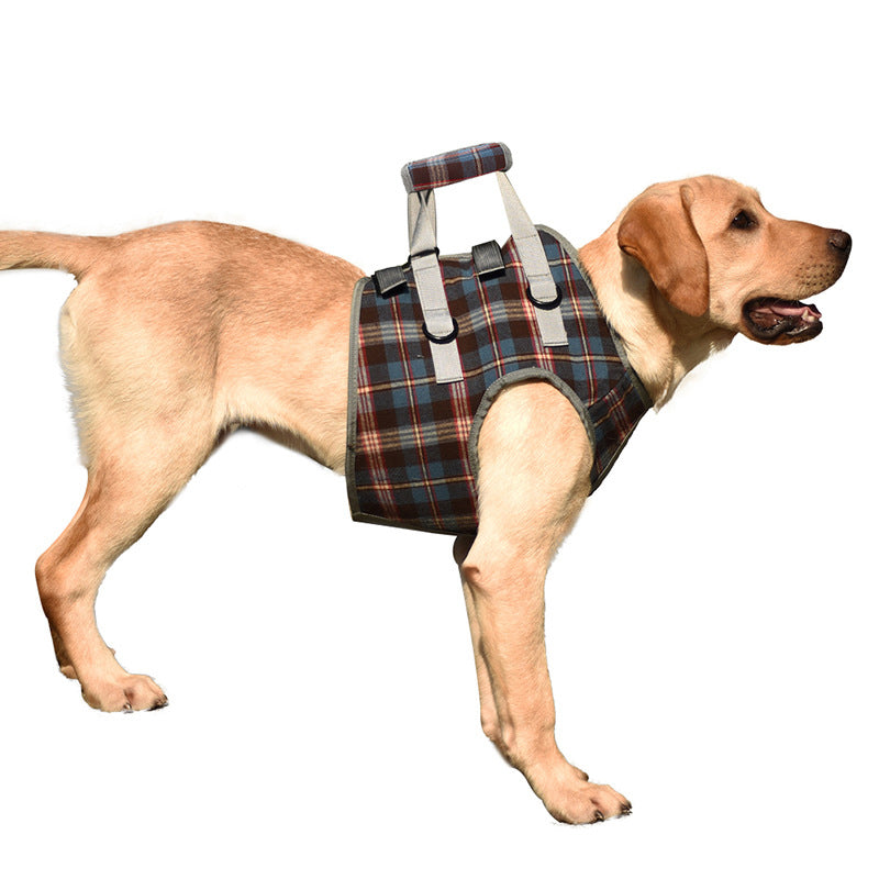 Orthopädischer Hundegurt, ergonomisch, bietet Unterstützung und Stabilität für Hunde-Hinterbeine, Detailaufnahme.