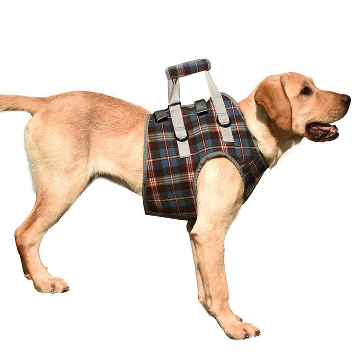 Orthopädischer Hundegurt, ergonomisch, bietet Unterstützung und Stabilität für Hunde-Hinterbeine, Detailaufnahme.