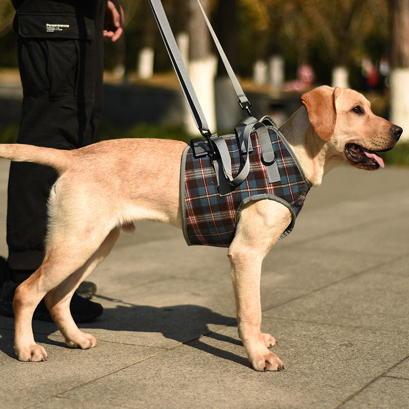 Orthopädischer Hundegurt, ergonomisch, bietet Unterstützung und Stabilität für Hunde-Hinterbeine, Detailaufnahme.