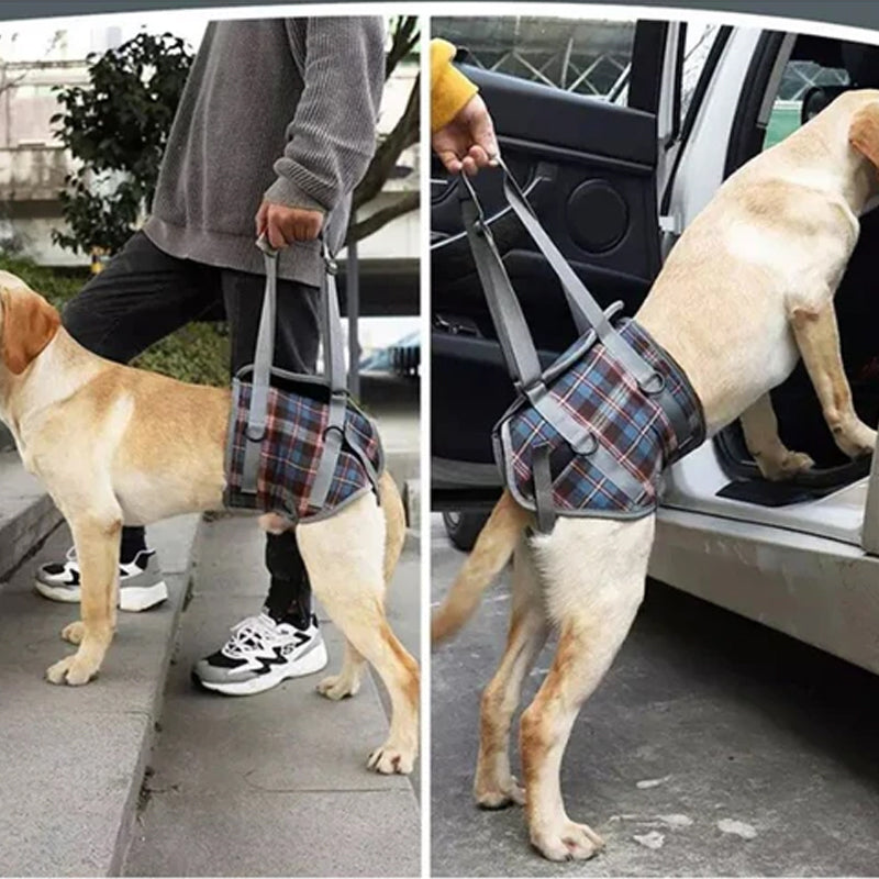 Orthopädischer Hundegurt, ergonomisch, bietet Unterstützung und Stabilität für Hunde-Hinterbeine, Detailaufnahme.
