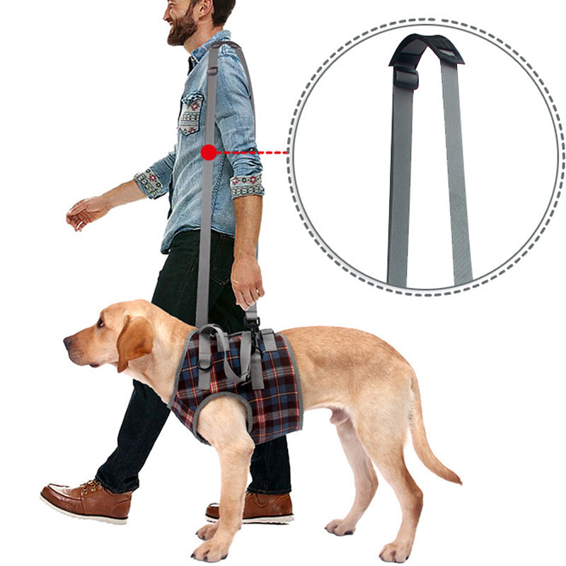 Orthopädischer Hundegurt, ergonomisch, bietet Unterstützung und Stabilität für Hunde-Hinterbeine, Detailaufnahme.
