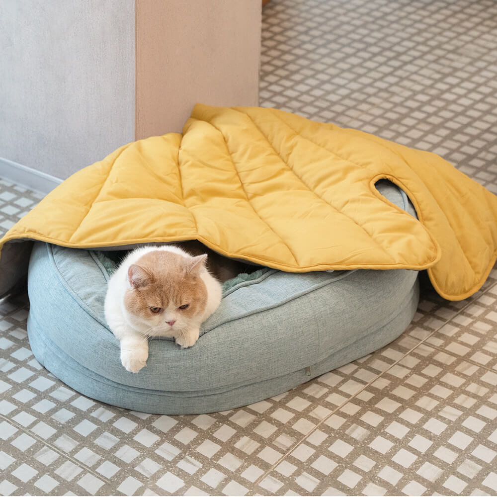 "Orthopädisches flauschiges Haustierbett in Donutform, beige, für Hunde, bietet Komfort und Unterstützung auf glatten Böden."