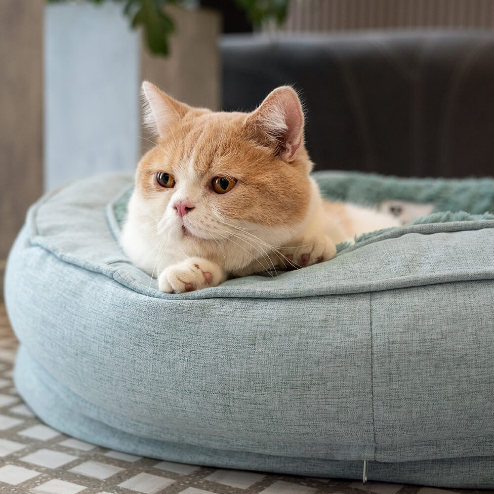 "Orthopädisches flauschiges Haustierbett in Donutform, beige, für Hunde, bietet Komfort und Unterstützung auf glatten Böden."