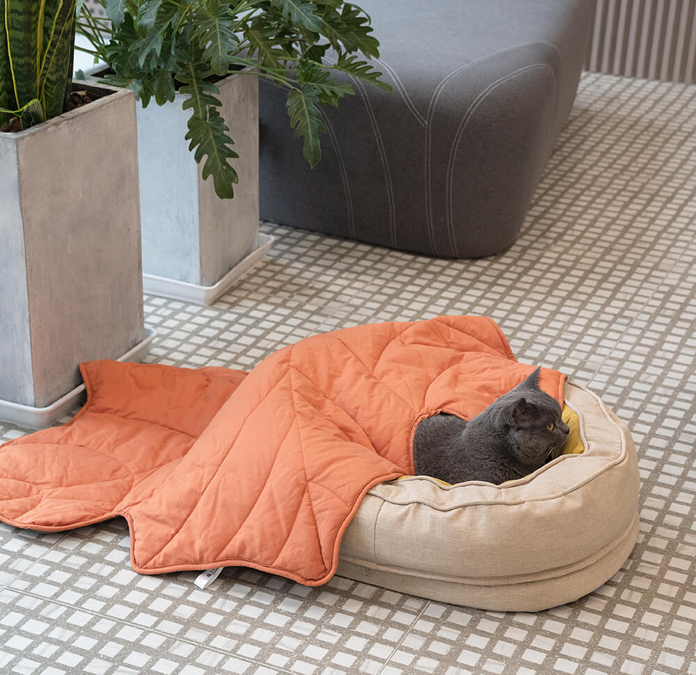 "Orthopädisches flauschiges Haustierbett in Donutform, beige, für Hunde, bietet Komfort und Unterstützung auf glatten Böden."