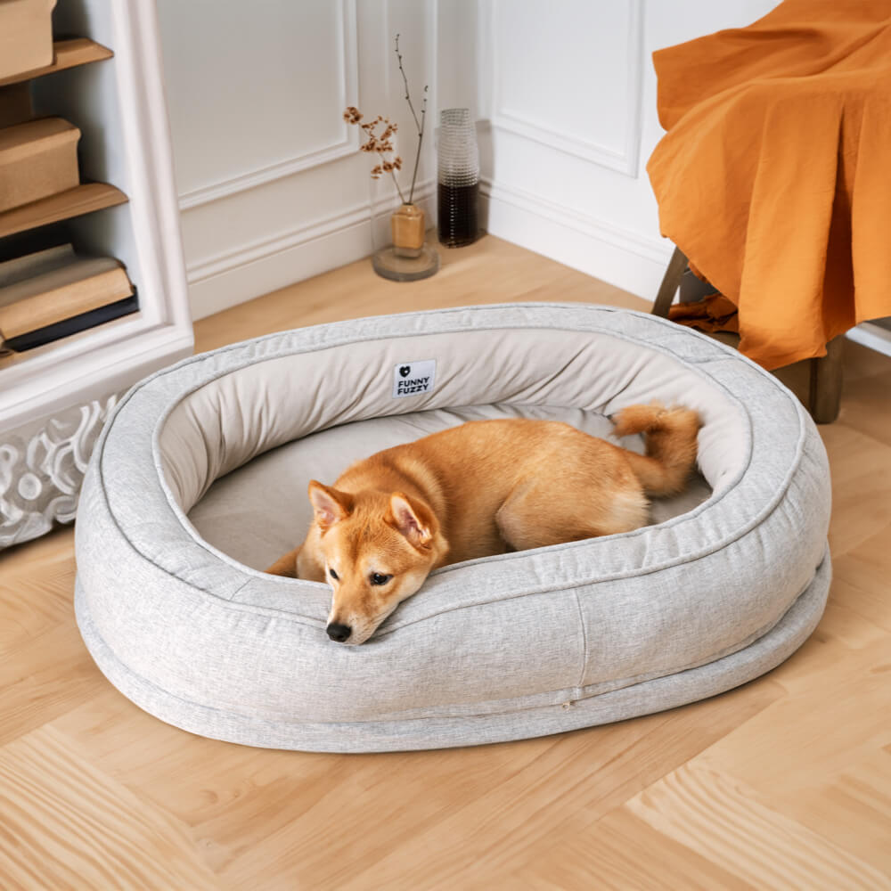 "Orthopädisches flauschiges Haustierbett in Donutform, beige, für Hunde, bietet Komfort und Unterstützung auf glatten Böden."