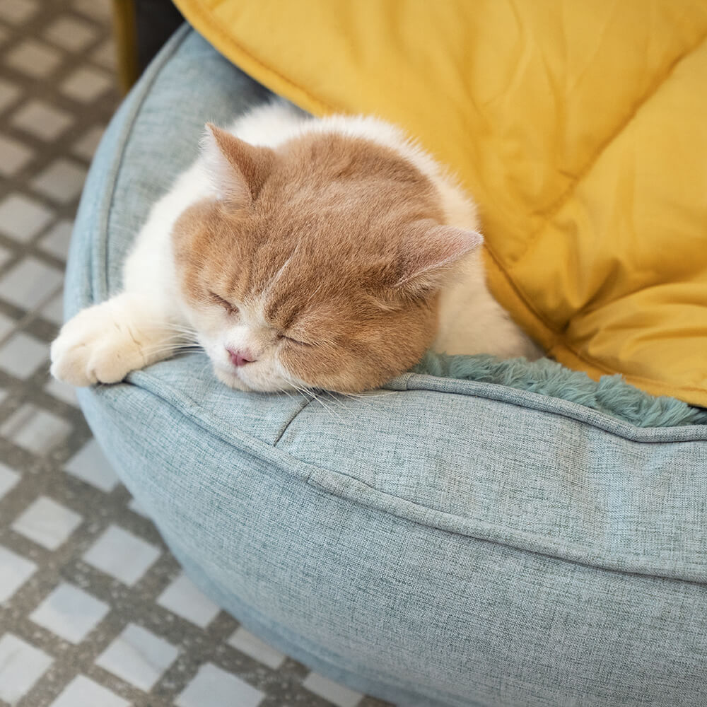 "Orthopädisches flauschiges Haustierbett in Donutform, beige, für Hunde, bietet Komfort und Unterstützung auf glatten Böden."