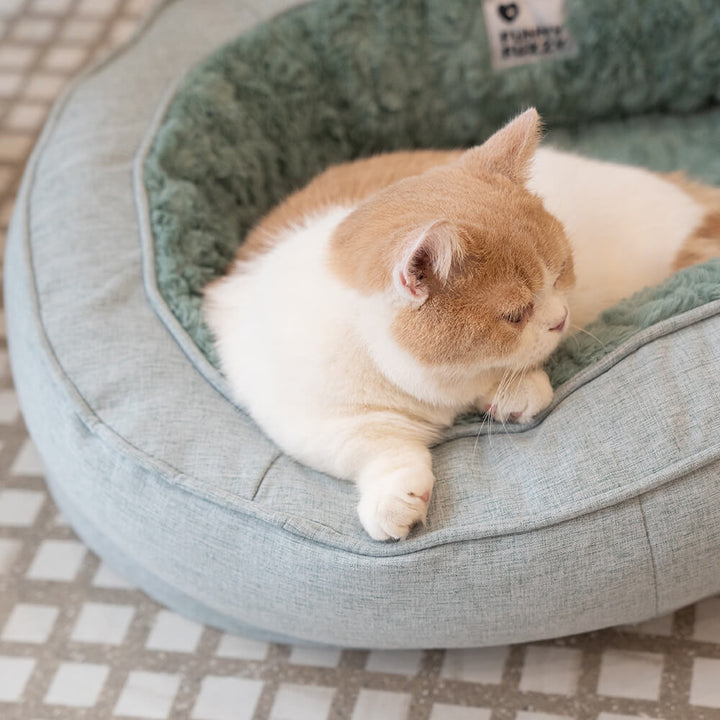 "Orthopädisches flauschiges Haustierbett in Donutform, beige, für Hunde, bietet Komfort und Unterstützung auf glatten Böden."