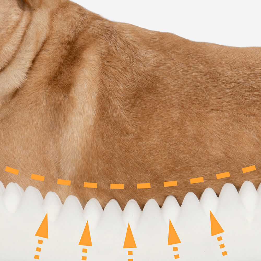 "Orthopädisches flauschiges Haustierbett in Donutform, beige, für Hunde, bietet Komfort und Unterstützung auf glatten Böden."