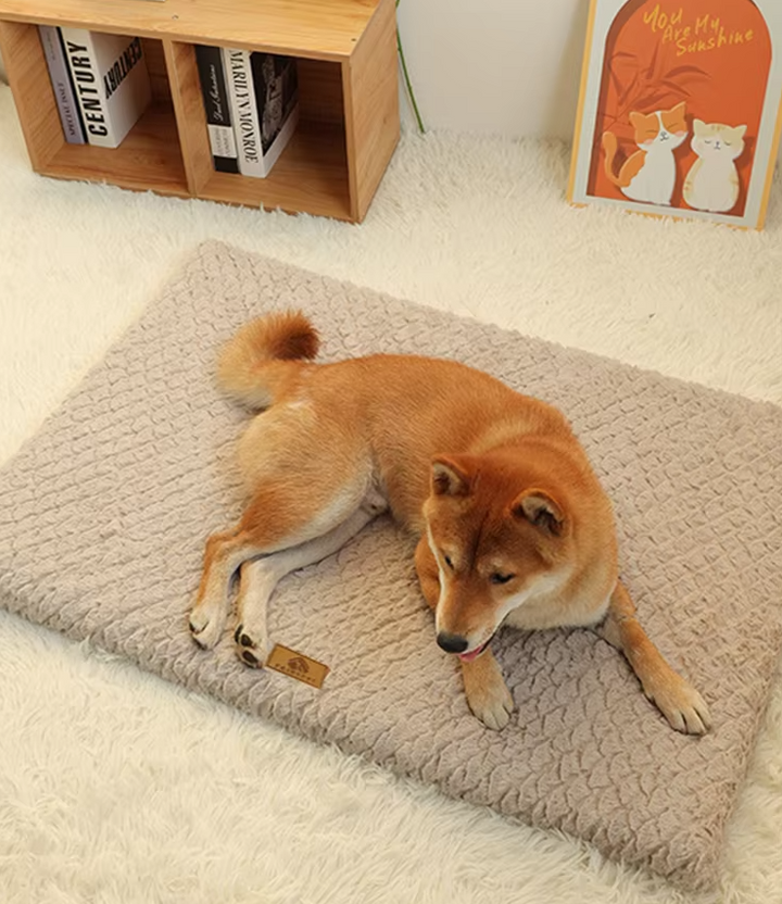 "Orthopädisches Hundebett, flauschige Haustiermatte mit plüschiger Oberfläche zur Unterstützung älterer Hunde und Katzen"