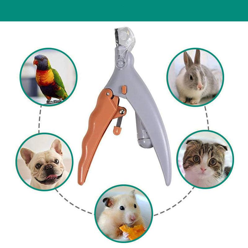 Professioneller Hundekrallenknipser mit Schnellsensor, ergonomischem Griff und robusten Edelstahlklingen für präzises Trimmen