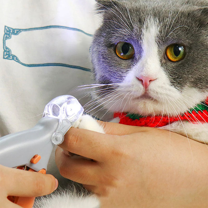 Professioneller Hundekrallenknipser mit Schnellsensor, ergonomischem Griff und robusten Edelstahlklingen für präzises Trimmen