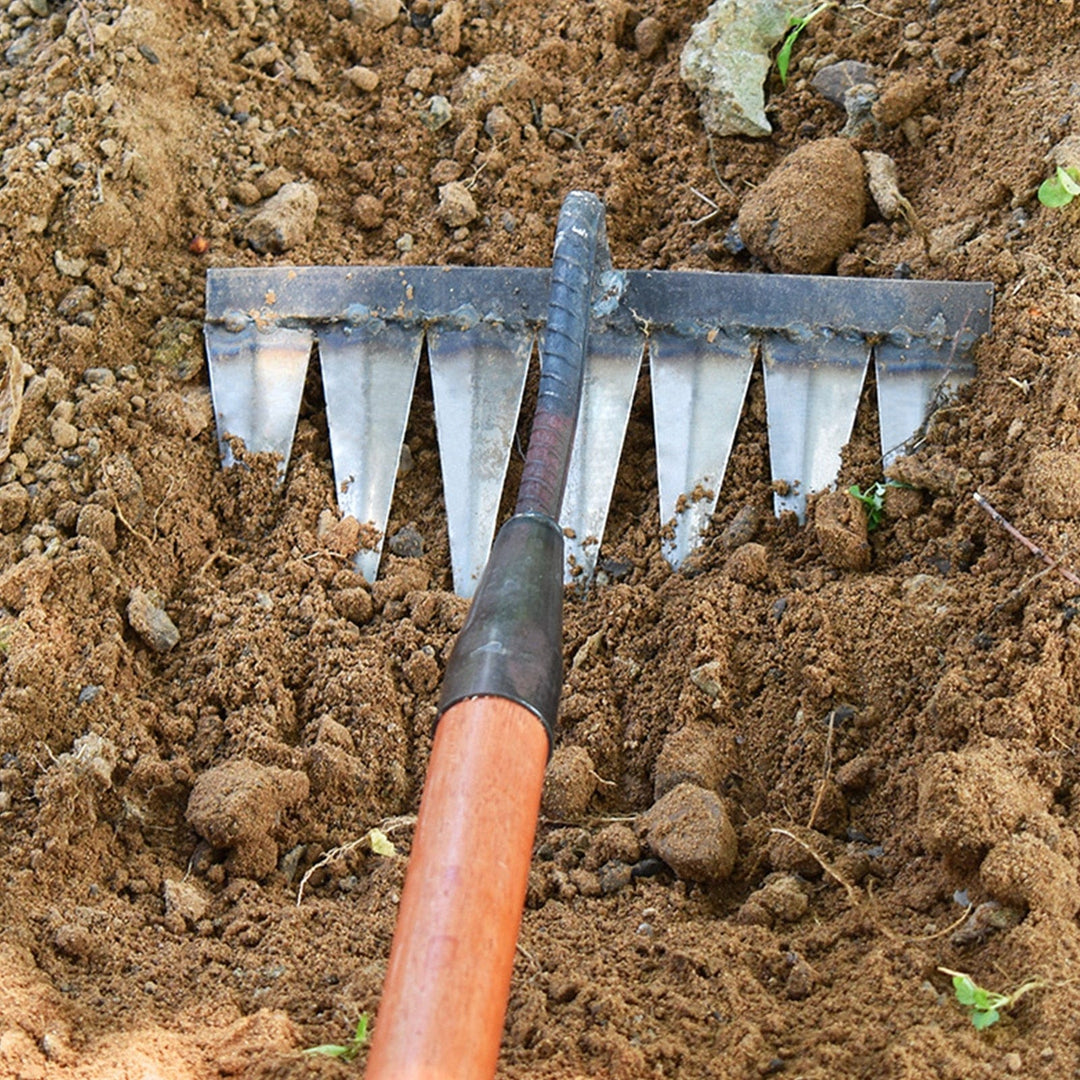 Robuster Unkrautentferner aus Eisen mit scharfen Zähnen, ideal für effektive Gartenpflege und einfaches Unkrautentfernen.