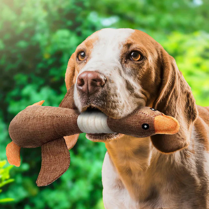 "Robustes langlebiges Hundespielzeug in Blau und Braun, ideal für Kauen und Zerren, hält starker Beanspruchung stand."